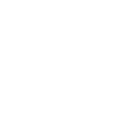 ico white 1.png