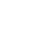 ico white 2.png