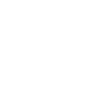 ico white 4.png